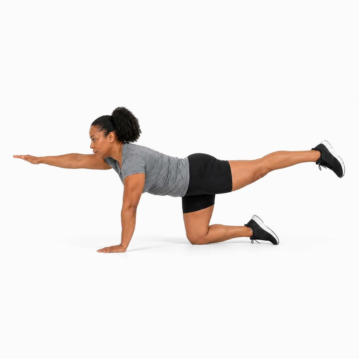 Bird Dog - Quadruped exercise reference