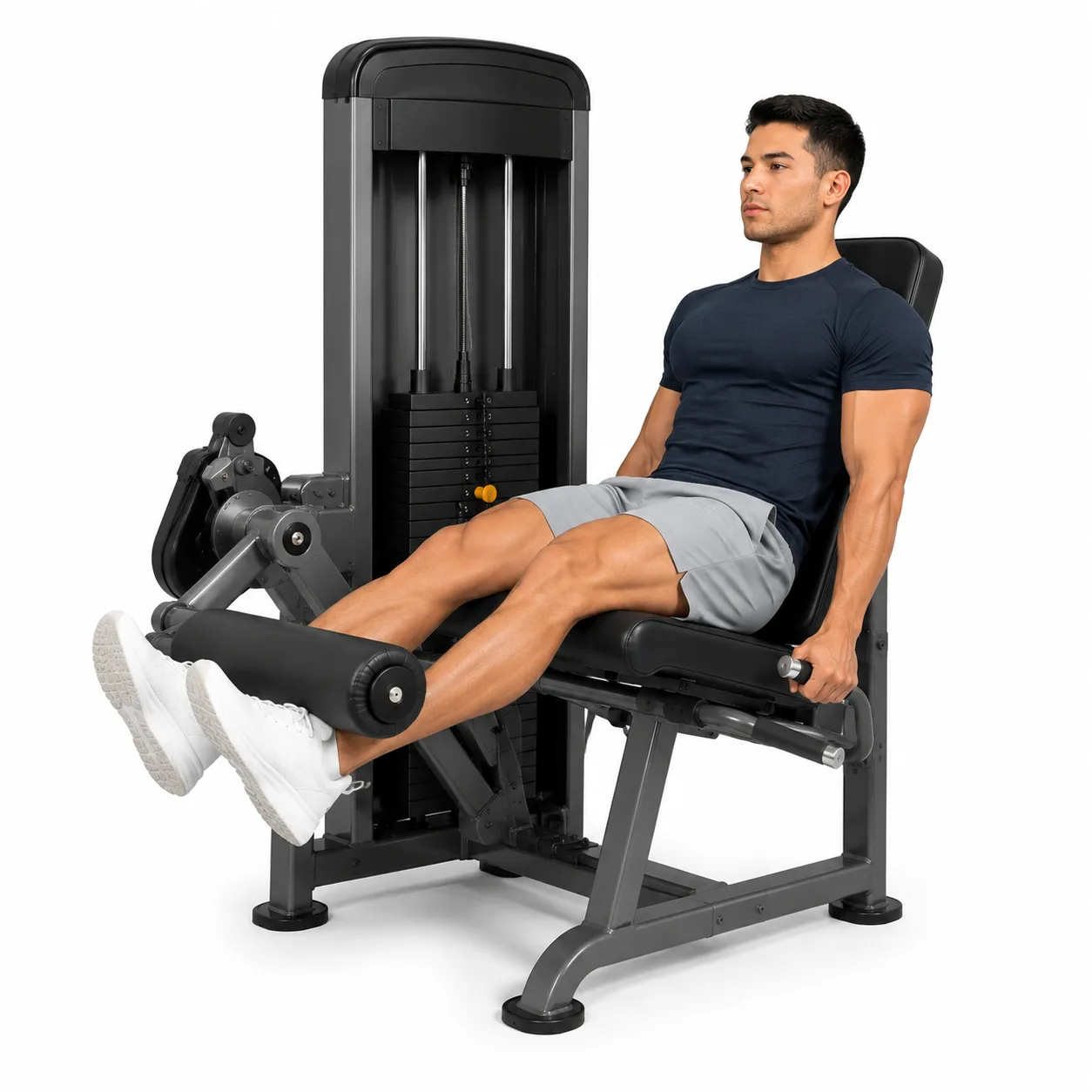 Knee Extension - Seated Machine exercise reference