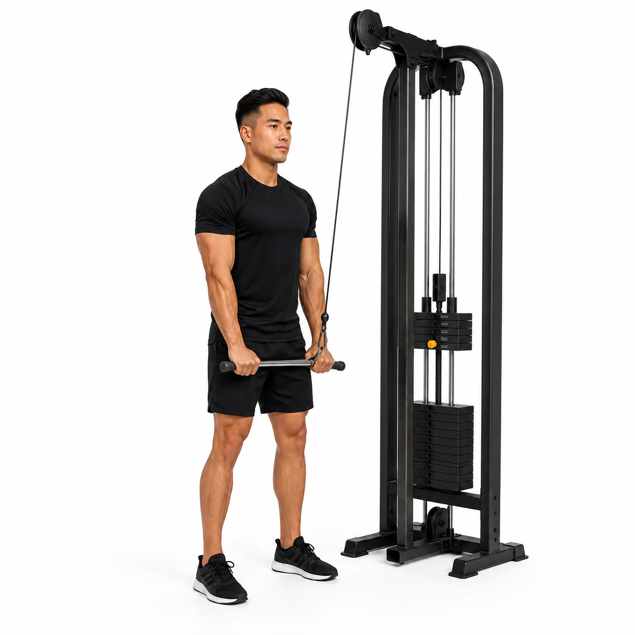 Triceps Pushdown - Cable exercise reference